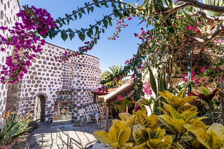 Twin Ticket Casa de los Balcones + Molino de gofio del Hoyo