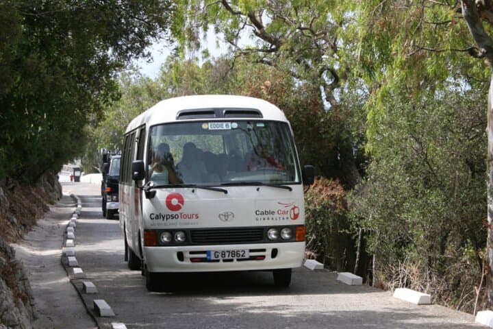 Guided Tour from Seville Discovering Gibraltar