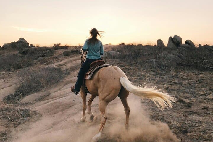Lanzarote: Volcanic Landscape Horseback Riding Tour
