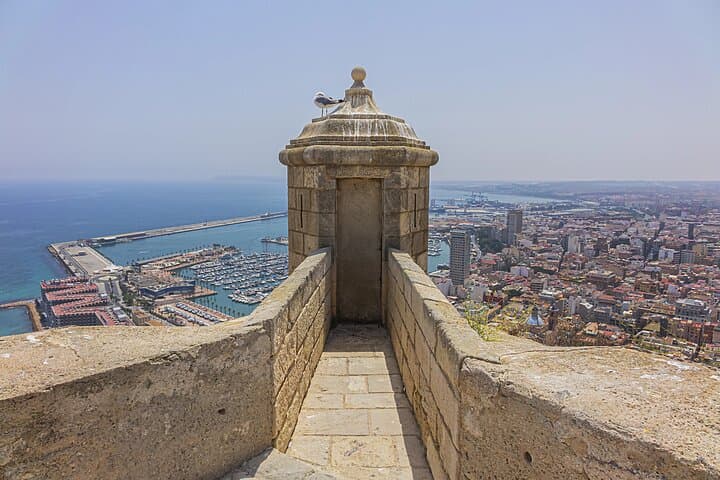 ALICANTE 5