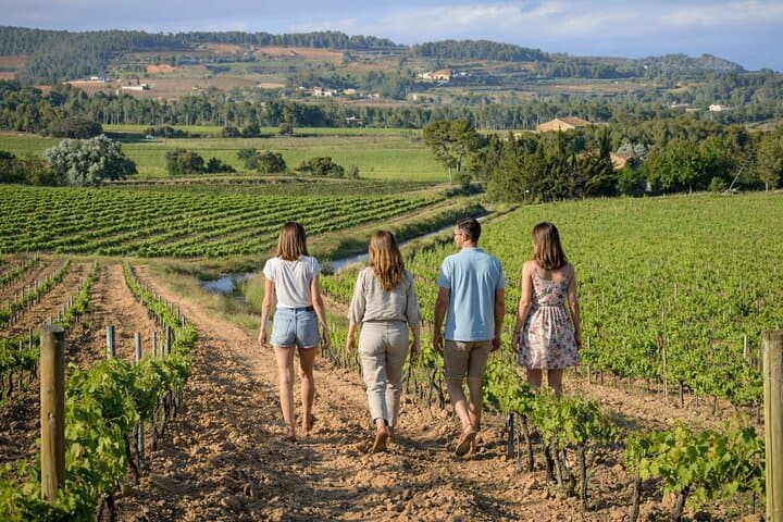 Vineyard landscape with guide and tourists in l'Empordà private tour from Barcelona