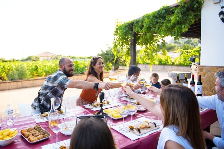 Near Malaga: Mijas Organic Vineyard, 5 Wines, 2 Oils & Tapas