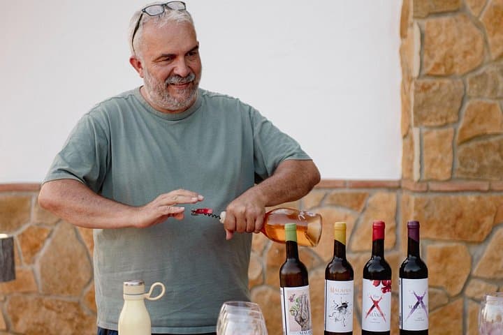 Near Malaga: Mijas Organic Vineyard, 5 Wines, 2 Oils & Tapas