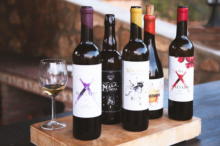 Near Malaga: Mijas Organic Vineyard, 5 Wines, 2 Oils & Tapas