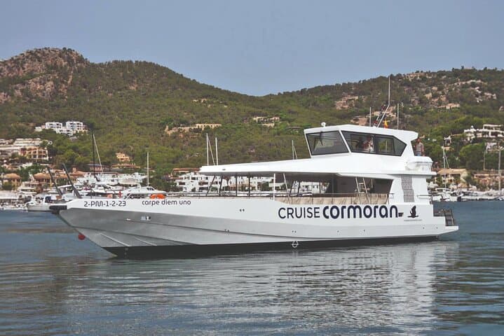 Paradise 4h Catamaran Tour of Mallorca and Puerto Andratx