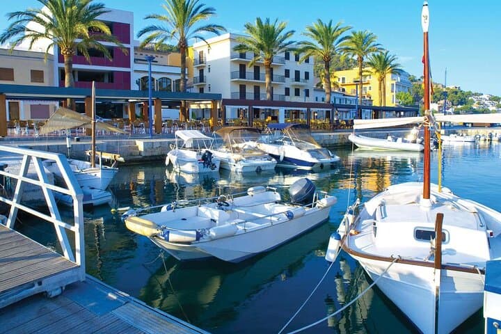 Paradise 4h Catamaran Tour of Mallorca and Puerto Andratx