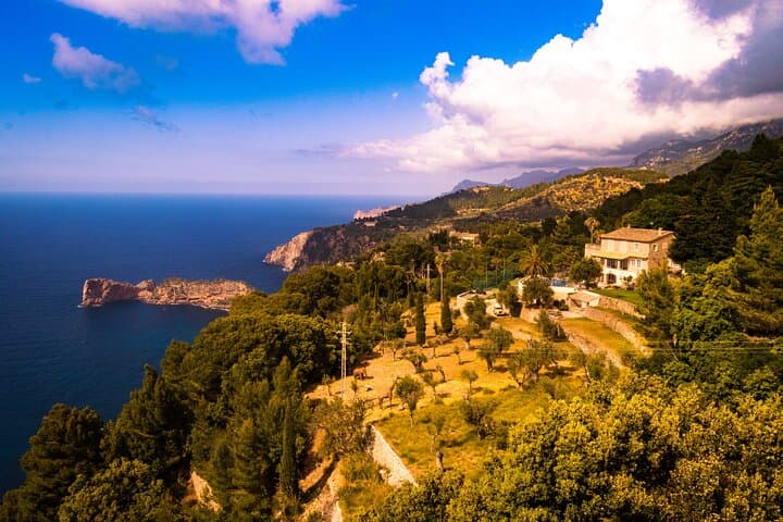 Mallorca tour in luxury van in small group min.4/max.6 People