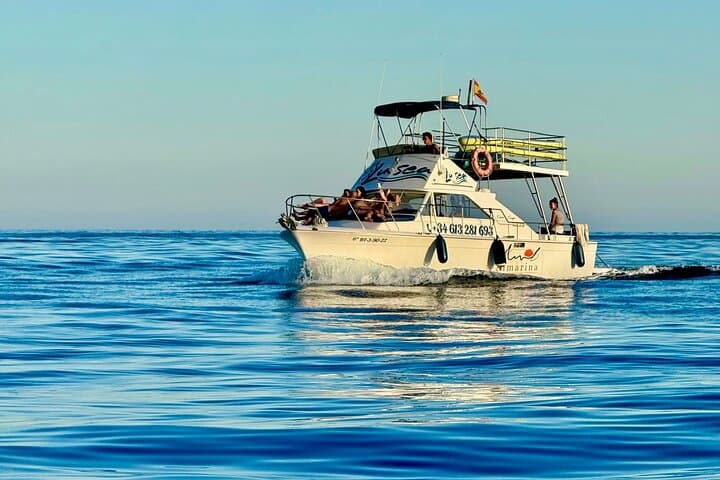 Dolphin Watching in Benalmadena