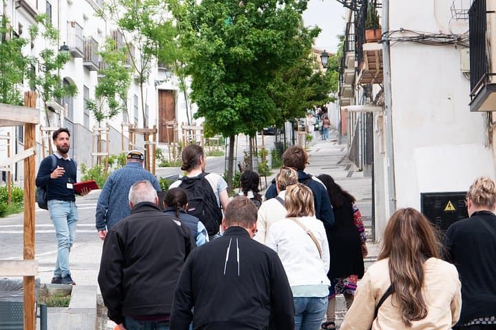 Albayzin, Flamenco and Sacromonte Granada's Living Soul