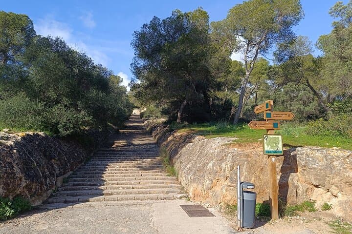 Palma Forest and Old Town E-bike tour and Bellver Castle Hike