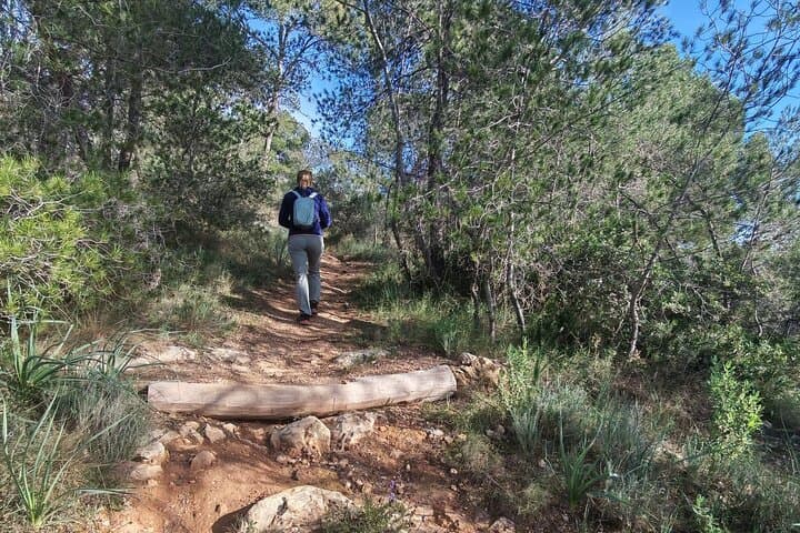 Palma Forest and Old Town E-bike tour and Bellver Castle Hike