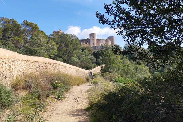 Palma Forest and Old Town E-bike tour and Bellver Castle Hike