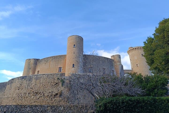 Palma Forest and Old Town E-bike tour and Bellver Castle Hike
