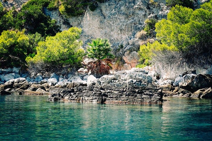 La Herradura: Sailboat with a view of dolphins-Shared