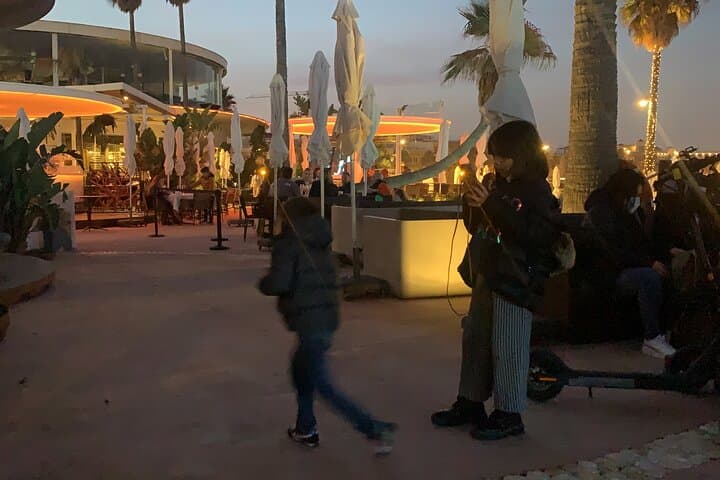 Private Valencia Tour with Hotel or Cruise Port Pickup
