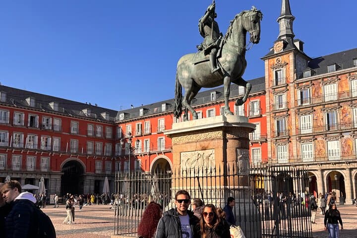 Madrid Private Tour with Driver