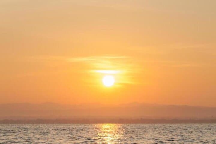 S'Arenal Dolphin Watching Boat Tour
