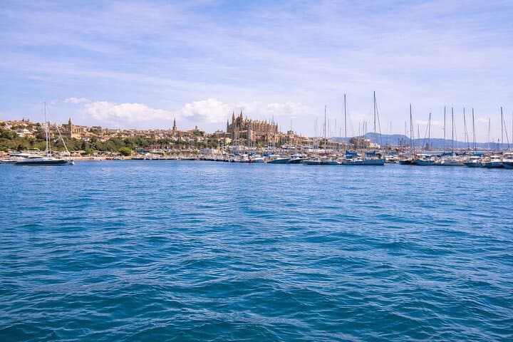 S'Arenal Boat trip to Illetas with views of Palma