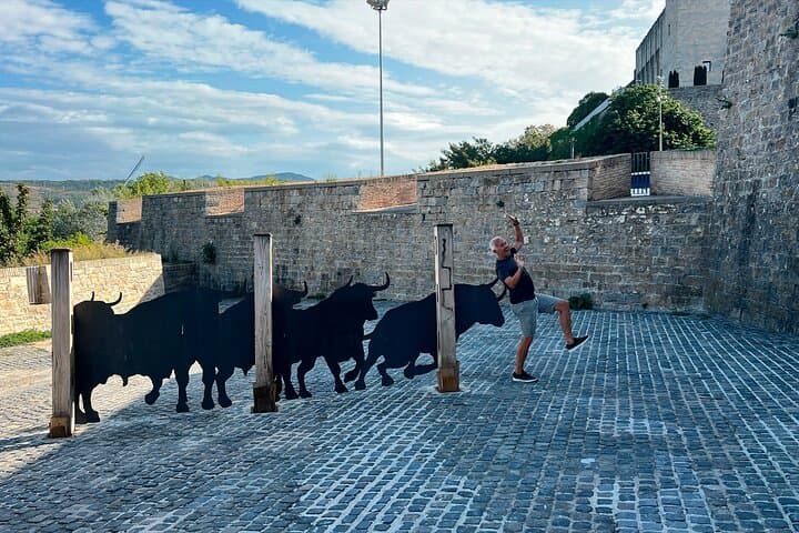 TOP Pamplona : Private Guided Tour with your mobile