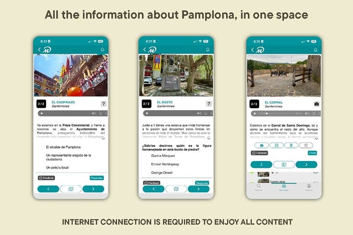 TOP Pamplona : Private Guided Tour with your mobile
