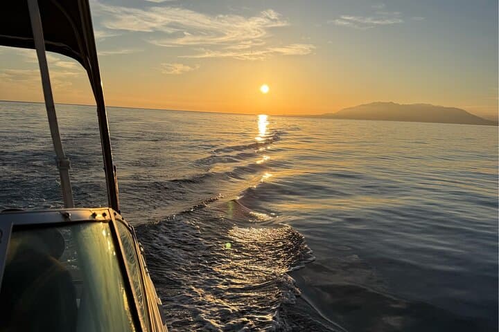 Fishing Adventures in Malaga Capital