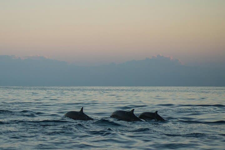 Malaga Capital Bay Private Boat Tour