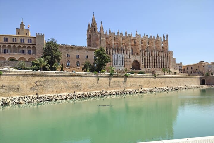 VIP Palma de Mallorca and Cathedral from Cruise Port Small Group