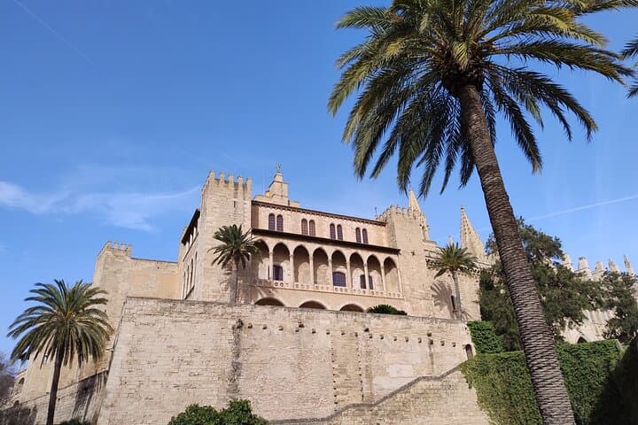 VIP Palma de Mallorca and Cathedral from Cruise Port Small Group