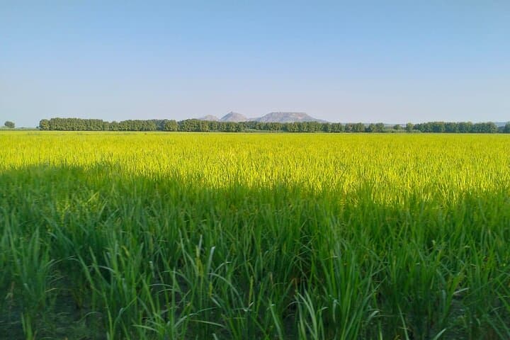 Girona Cycling Gravel Empordà 360o Cycling Adventure Immersion 5