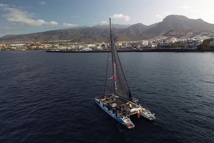 Eco catamarán avistamiento de ballenas en Tenerife