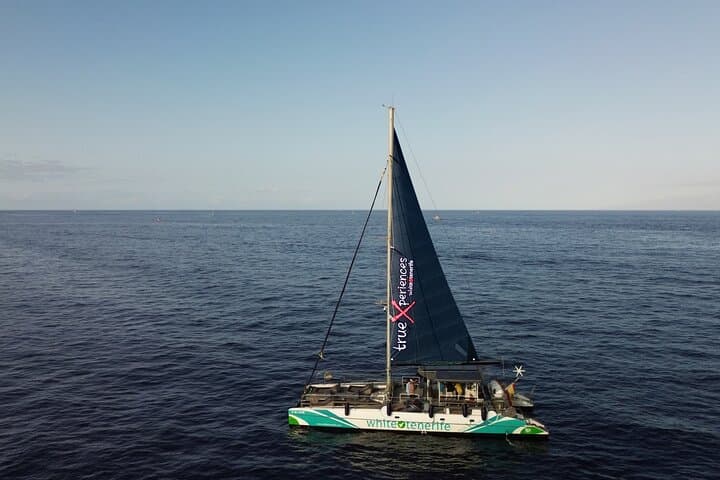 Eco catamarán avistamiento de ballenas en Tenerife