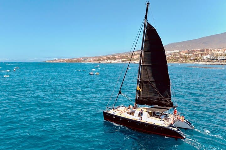 Avistamiento de ballenas en Tenerife. Barco White Tenerife.