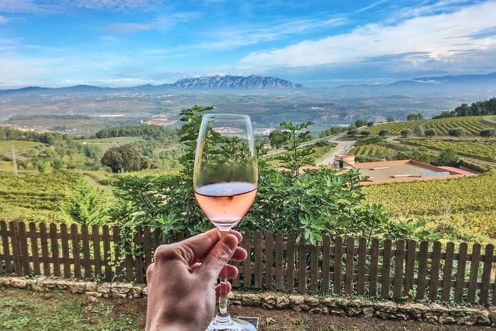 Montserrat & Penedes Winery Private Day Trip with Cava Tasting