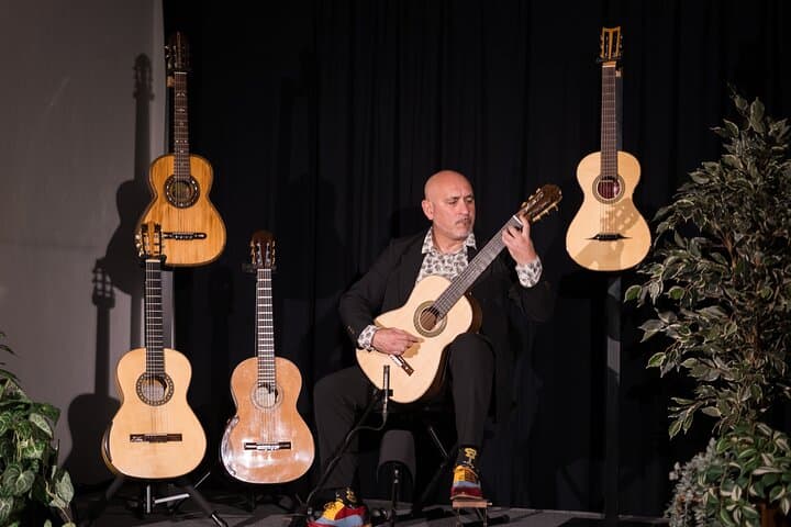 The concert at Ronda Guitar House