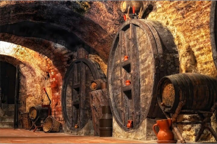 Ribera del Duero Underground Cellar & Wine Tasting Experience