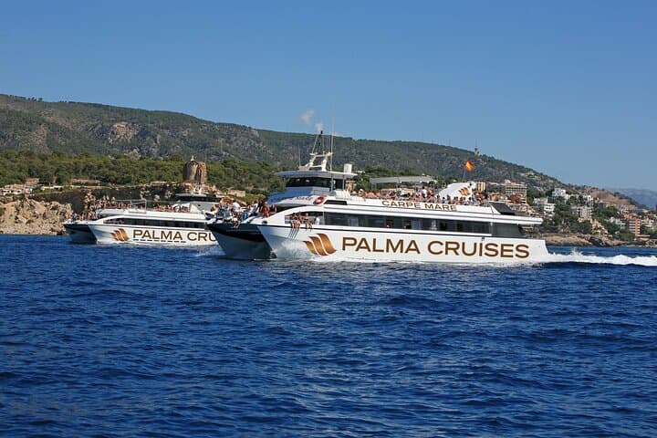 5-Hour Snorkeling in Palma Bay