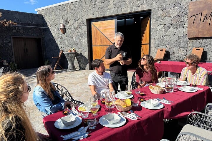 Lanzarote Family Winery: Lava Flow Tour and Wine Tasting