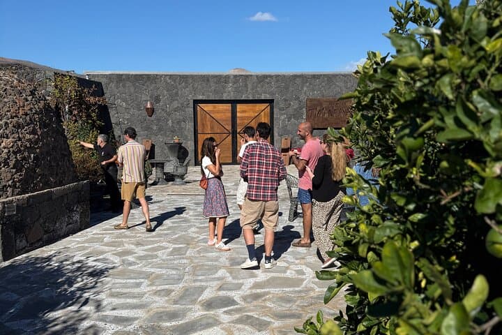 Lanzarote Family Winery: Lava Flow Tour and Wine Tasting