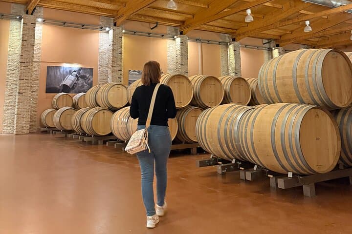 Emilio Moro Wineries