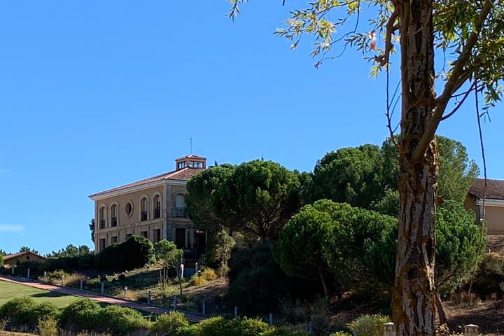 Ribera del Duero Wine Escape from Madrid Curated Tastings