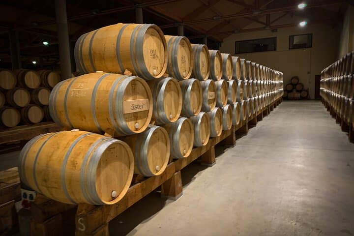 Ribera del Duero Wine Escape from Madrid Curated Tastings