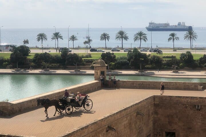 Mallorca Highlights VIP Private Tour