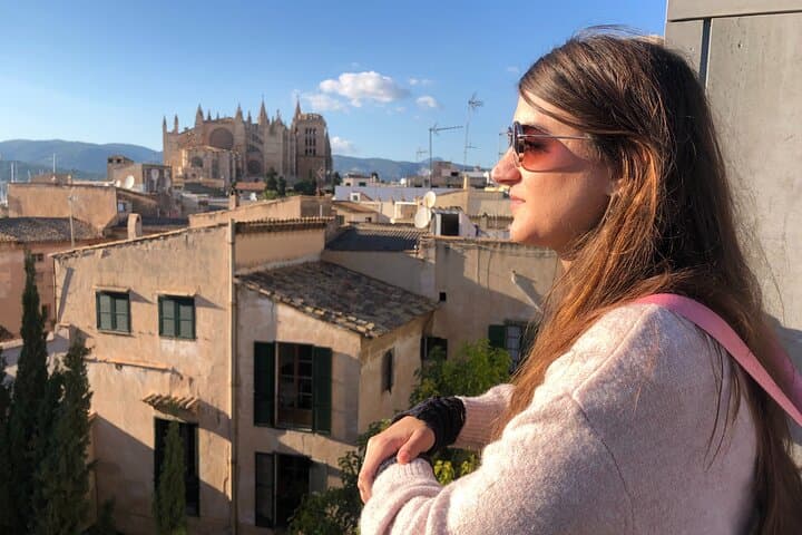 Mallorca Highlights VIP Private Tour
