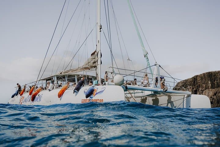 Catamaran Experience to Papagayo's Beaches with lunch and drinks