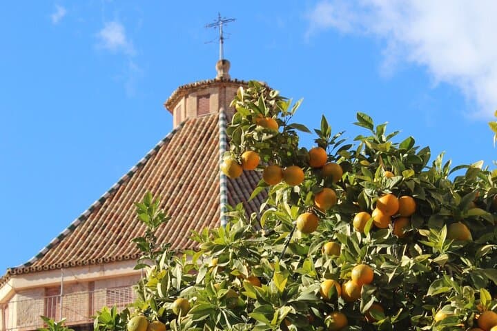 Malaga Old Town Walking Tour: Local Life and Hidden Corners