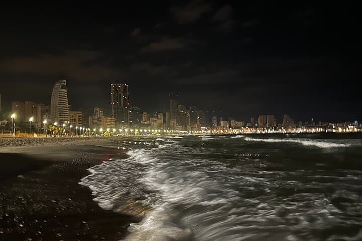 Day Tour to Benidorm