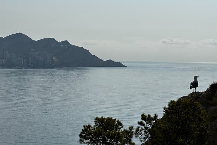 Day Tour to Benidorm
