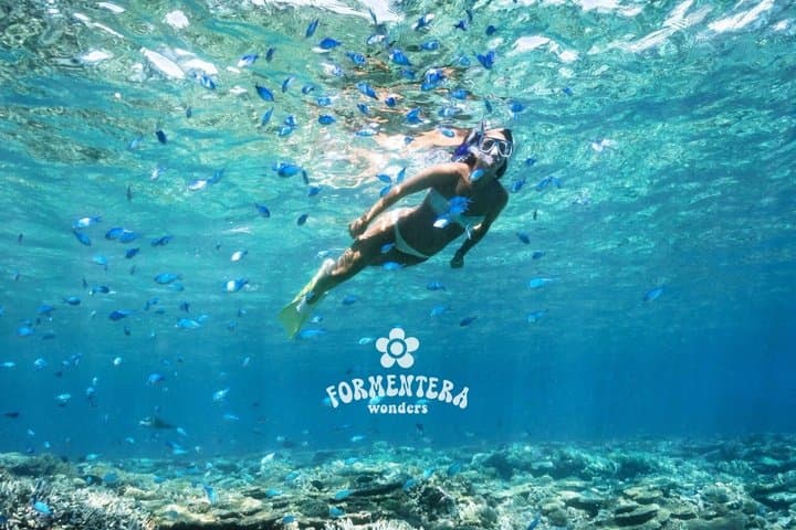 Formentera Boat Trip with Open Bar, Meals & Sunset Options