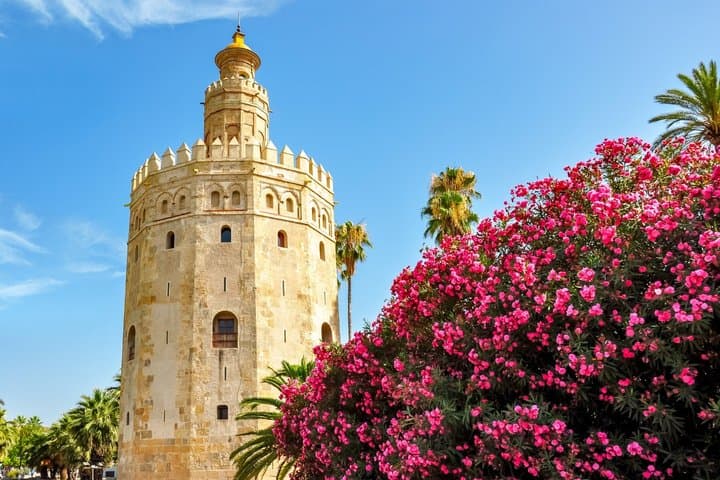 TOP Sevilla : Private Guided Tour with your mobile