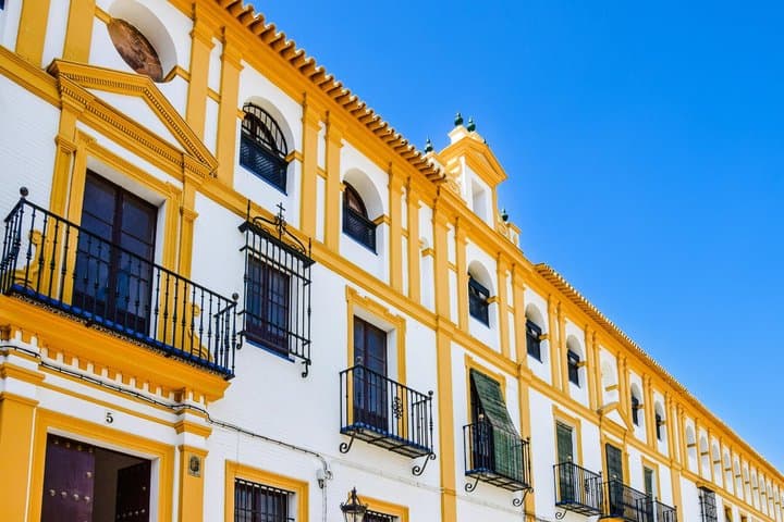 TOP Sevilla : Private Guided Tour with your mobile